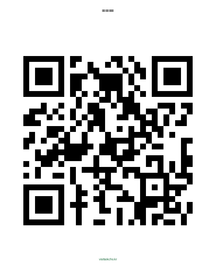 visitsokcho.kr QR Code